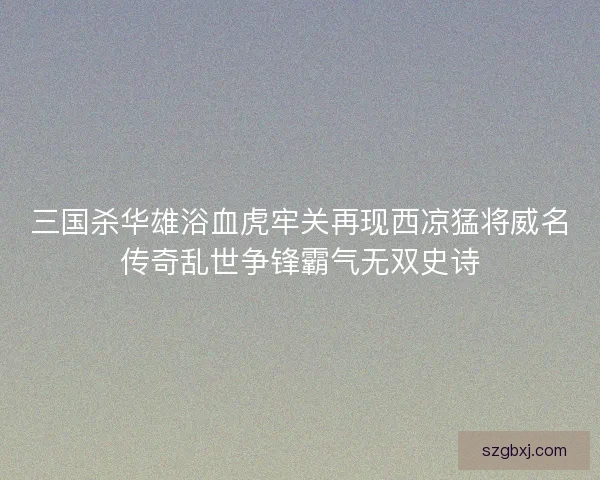 三国杀华雄浴血虎牢关再现西凉猛将威名传奇乱世争锋霸气无双史诗