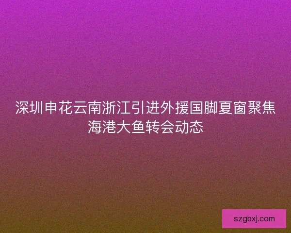 深圳申花云南浙江引进外援国脚夏窗聚焦海港大鱼转会动态