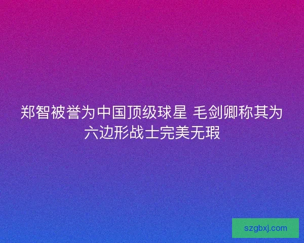 郑智被誉为中国顶级球星 毛剑卿称其为六边形战士完美无瑕