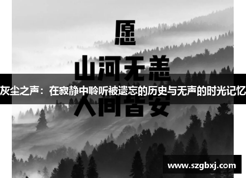 灰尘之声：在寂静中聆听被遗忘的历史与无声的时光记忆